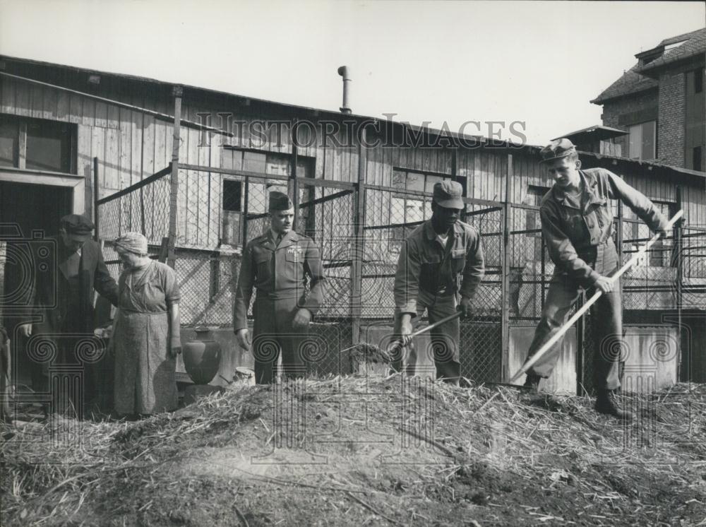 1954 Press Photo German 60 MP'sHelp Woman Clean Animals Homes After Husband Die - Historic Images