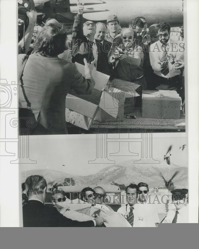 1974 Press Photo Swallows flown from Switzerland to Greece and released - Historic Images