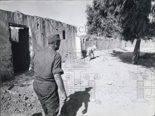 Press Photo A soldier and a goat - Historic Images