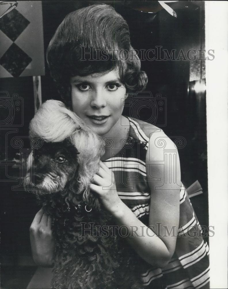 1967 Press Photo A wig costs rather a lot even for a dog - Historic Images