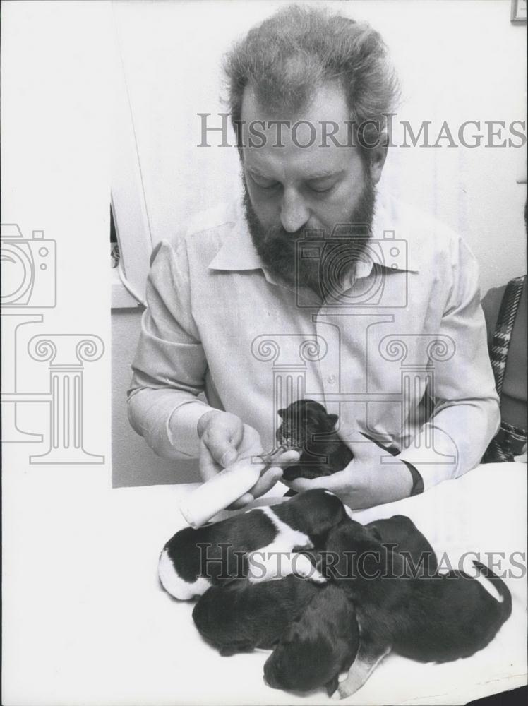 1974 Press Photo Feeding newborn German Shepherd pups - Historic Images