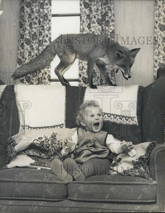 Press Photo That "Foxed" her - Historic Images