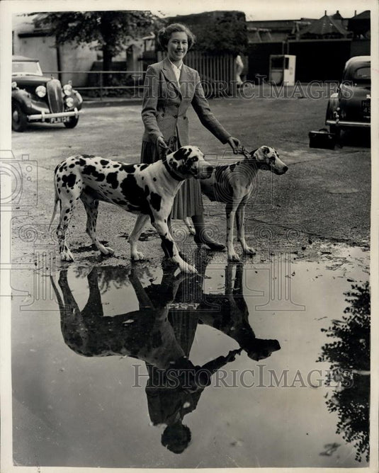1953 Press Photo Two Great Danes, Peerless Peterkin & Peerless Suzette - Historic Images