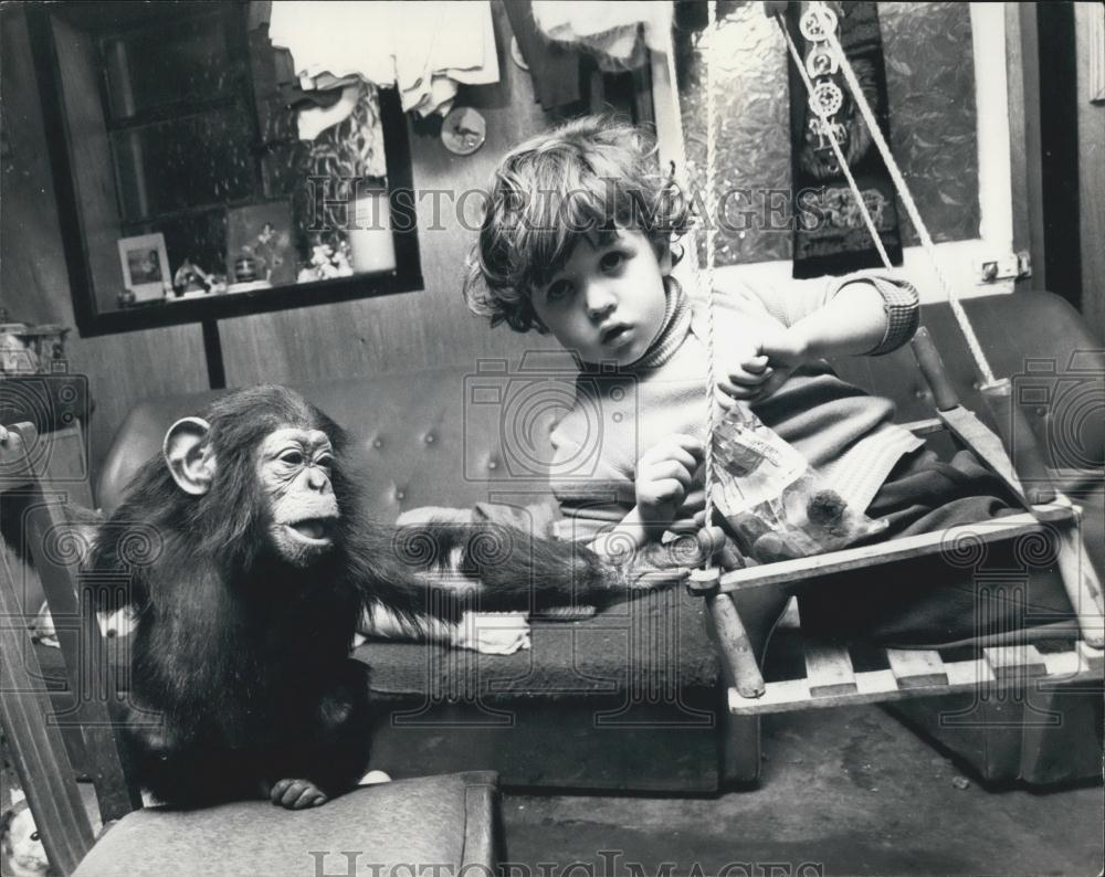 Press Photo Clews Zoo chimp and small child - Historic Images