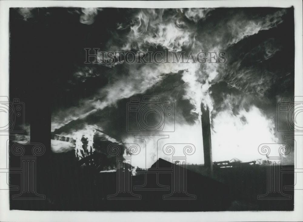 1960 Press Photo Teenage Jazz Fans Riot at Festival - Historic Images