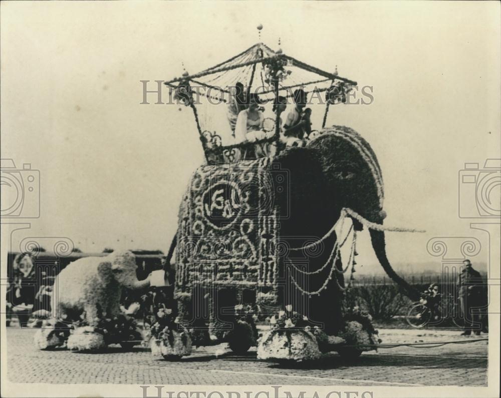 Press Photo Flower Parade Through The Streets Of Netherlands - Historic Images