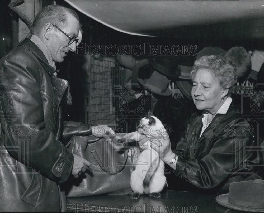 Press Photo Woman showing off her Cat - Historic Images