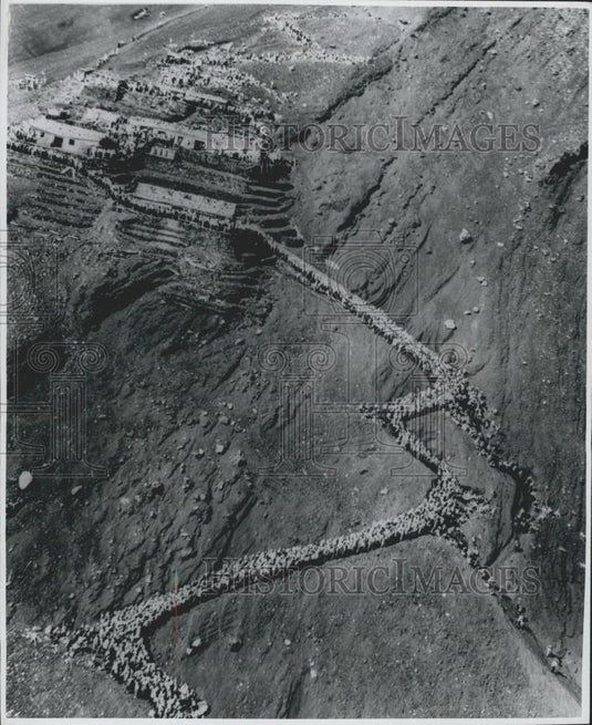 Press Photo 25k Hikers Climb Mount Fuji To Escape Heat Wave-Aerial - Historic Images