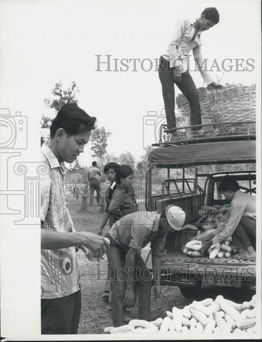 Press Photo Thailand Farmers - Historic Images