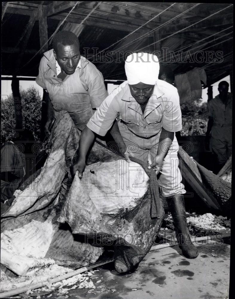 Press Photo Remains Of King of Marasit National Reserve-Mohamed Elephant - Historic Images