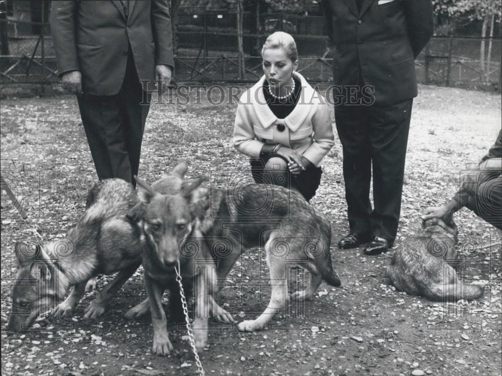 1964 Press Photo Italian actress Virna Lisi invited to the zoo - Historic Images