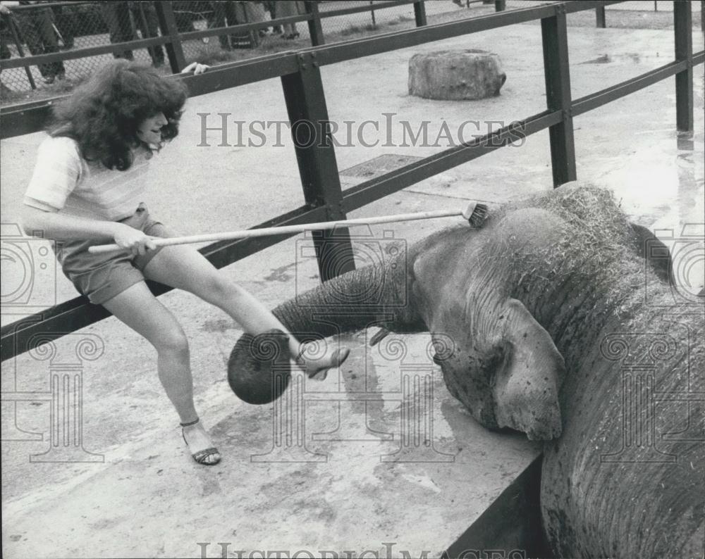 1981 Press Photo Marjorie The Elephant Tries To Pull Keeper Into Pool - Historic Images