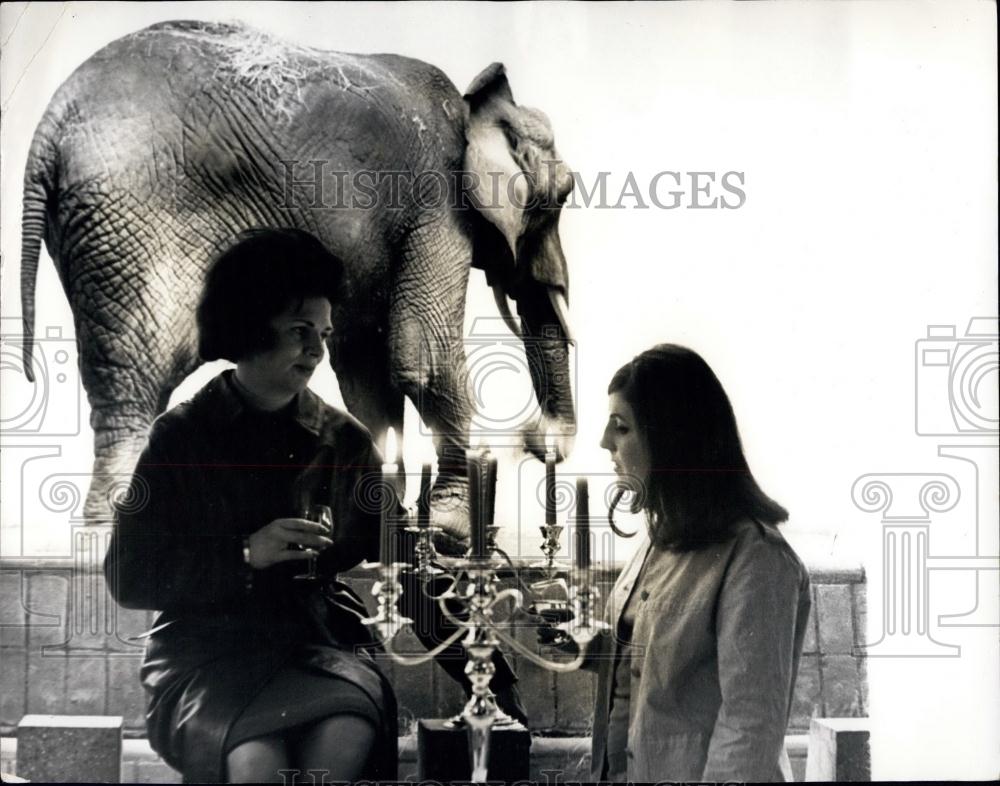 1965 Press Photo Elephant And Rhinoceros Pavilion At London Zoo. - Historic Images