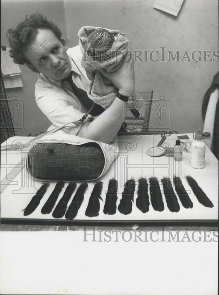 Press Photo a Honey Buzzard and of lan Oswald, of Children Castle.zoo - Historic Images