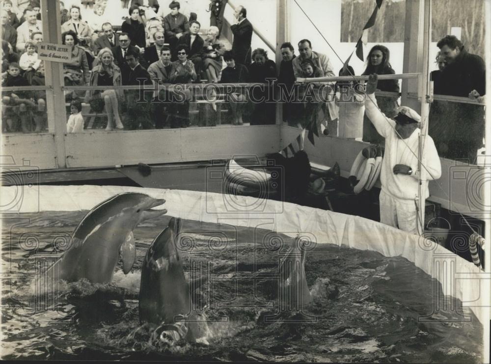 1969 Press Photo Jean Richards Ermenonville Zoo Dolphins From California - Historic Images