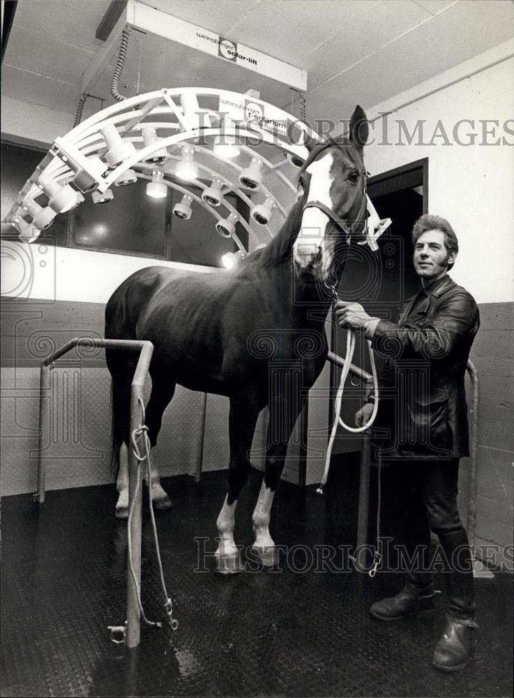 1982 Press Photo Solarium built to help horses - Historic Images