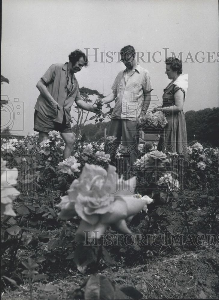 Press Photo Brothers Discuss Roses At Ruddington Field - Historic Images