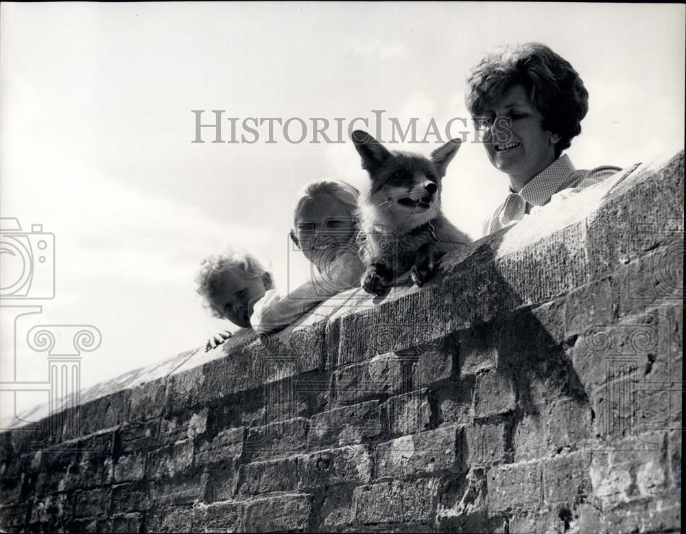 Press Photo Pet Fox Rusty With Family Portrait Brick Wall - Historic Images