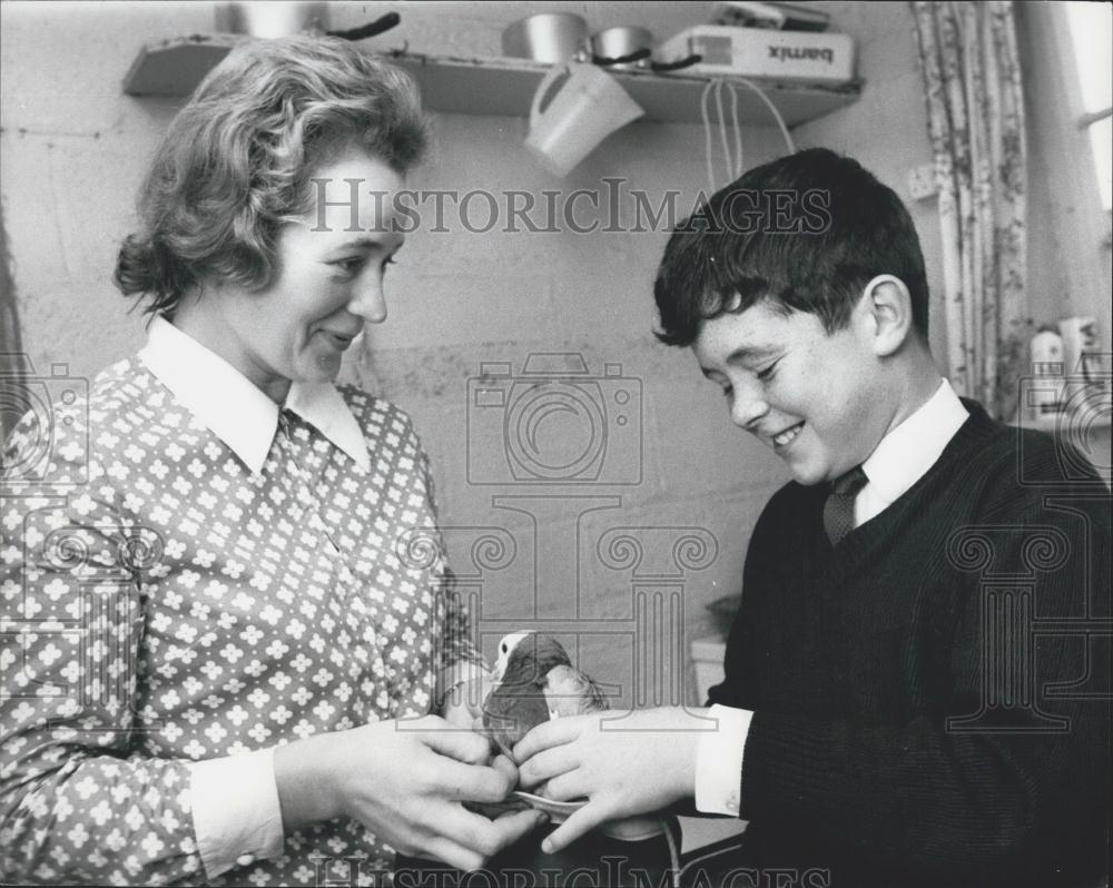 Press Photo Mrs. Sheila Griffiths,son Stuart and pet homing pigeon - Historic Images