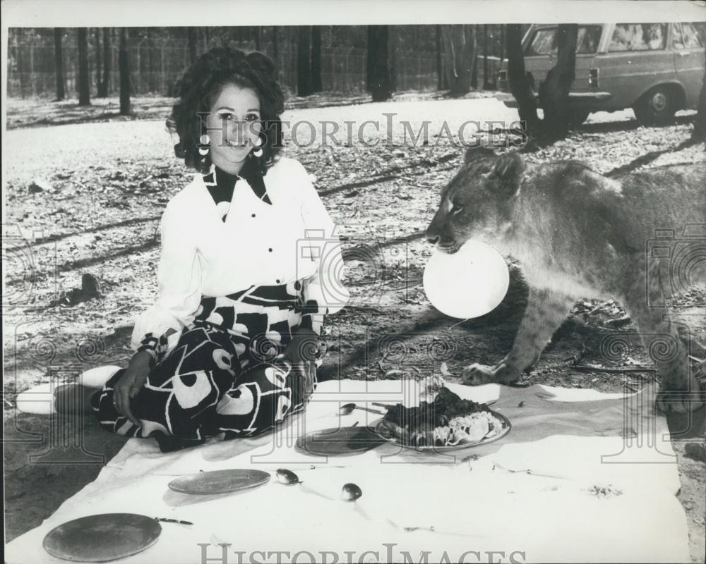 Press Photo Liz the lioness offers Joanna the lion a plate of food for lunch - Historic Images