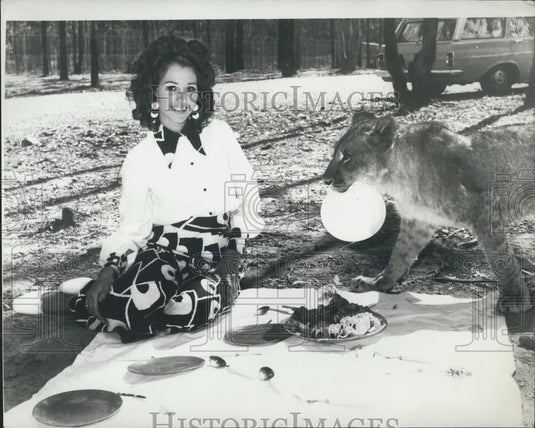 Press Photo Liz the lioness offers Joanna the lion a plate of food for lunch - Historic Images