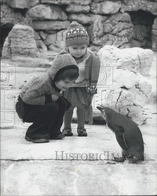 Press Photo Nicky Irving Jemma Pretty Penguin Chessington Zoo Visit - Historic Images