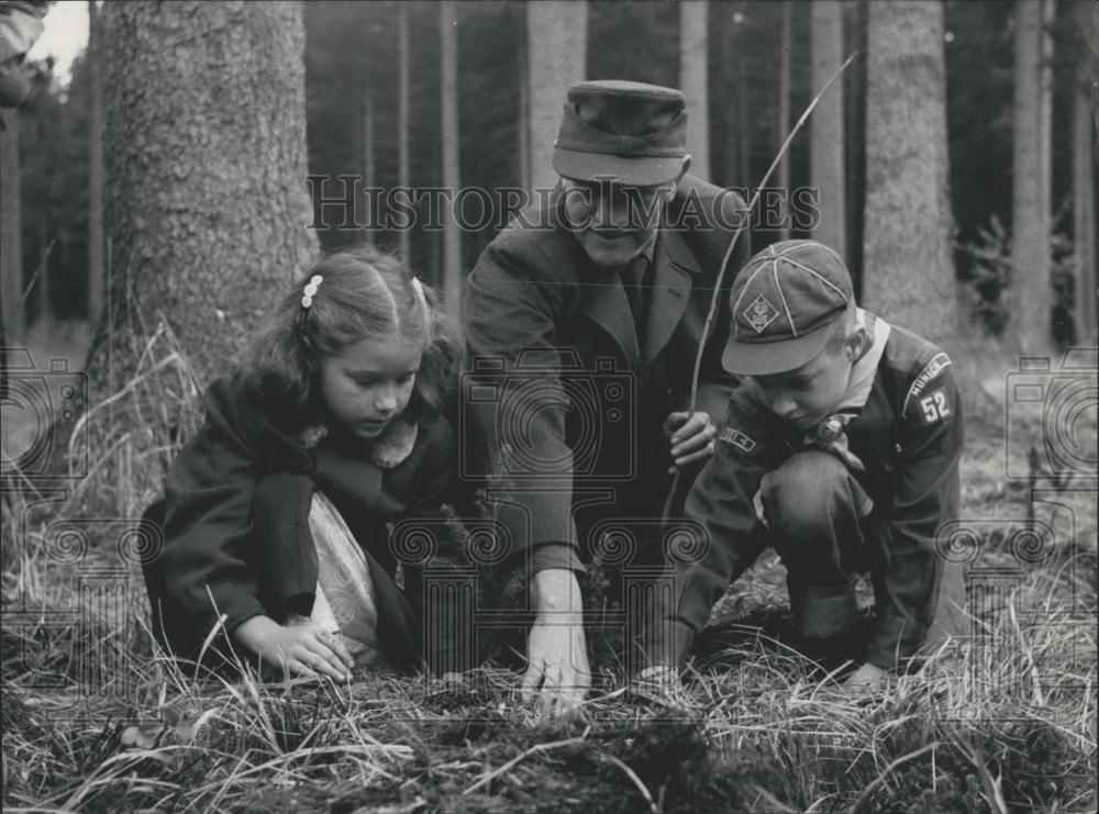 1956 Press Photo Operation Friendship Groves is a German-American Friendship - Historic Images