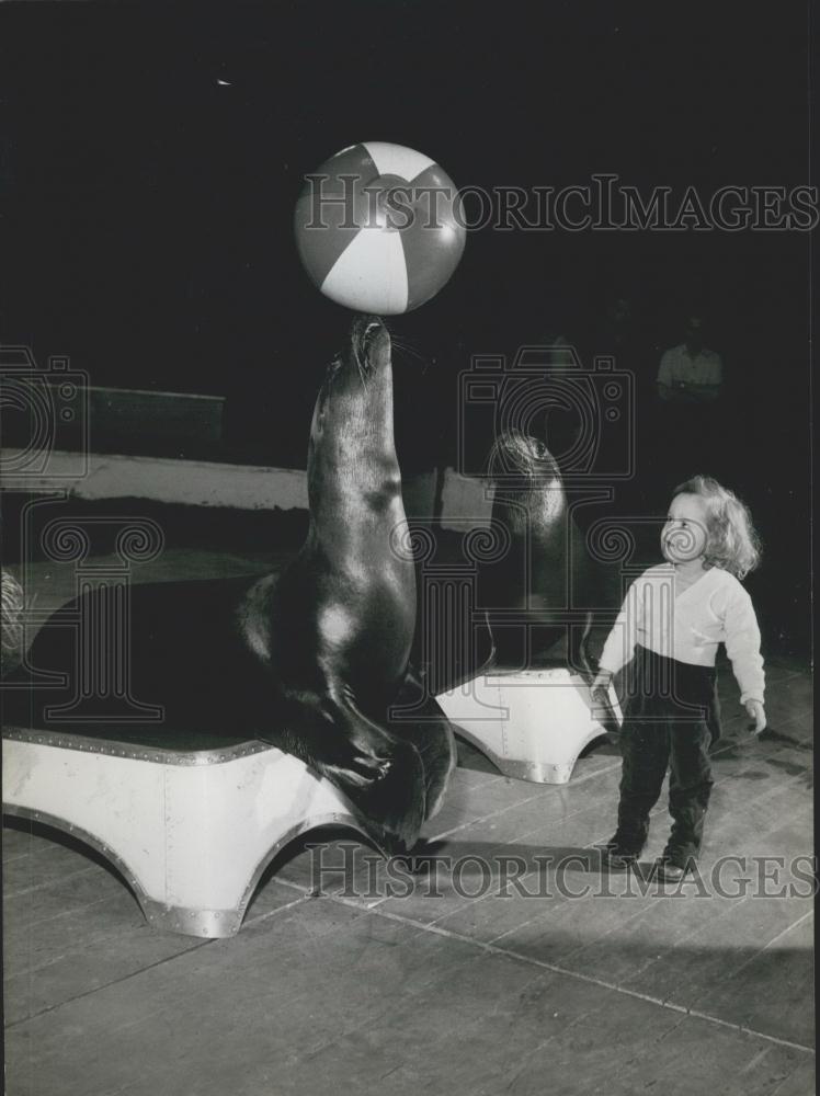 Press Photo Bertha as she watched Roland balancing a ball on his nose - Historic Images