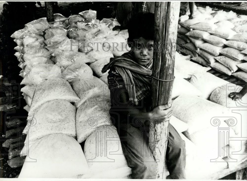 Press Photo Cambodian boy store stock room with ice - Historic Images