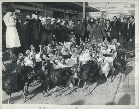 1959 Press Photo Turkeys are driven down Broad-walk, Harlow's main shopping area - Historic Images