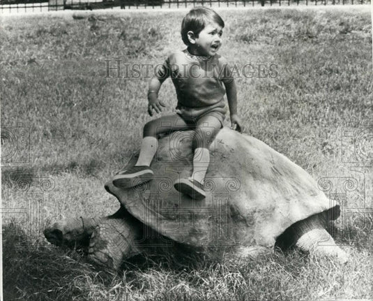 1975 Press Photo 150 year old Elephantine Tortoise Calcutta Zoo - Historic Images