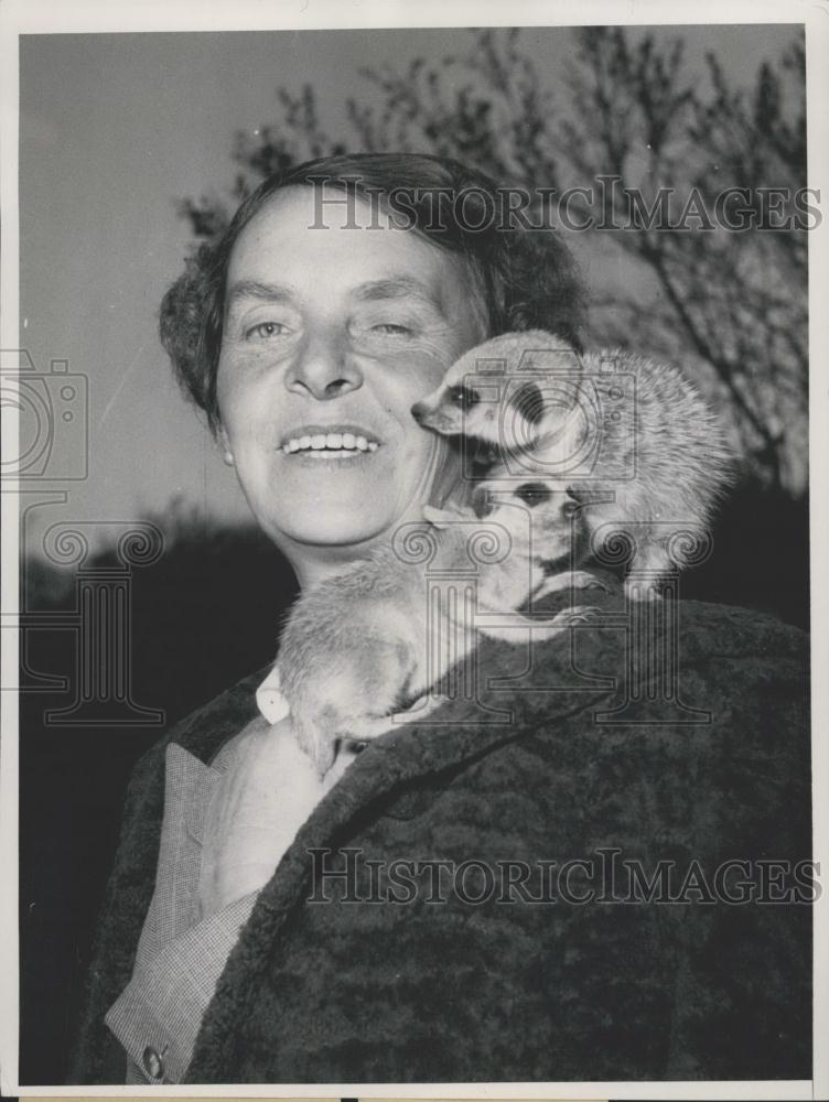 Press Photo Zoologist Mrs. Heck with two surricates - Historic Images