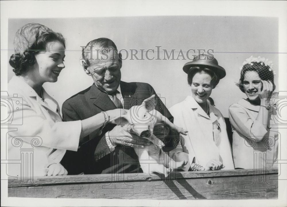 1964 Press Photo This little piggy met the King - Historic Images