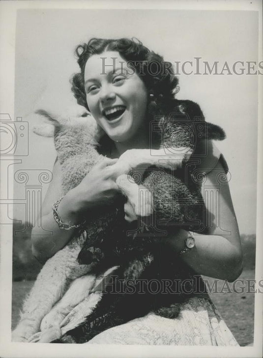 1953 Press Photo Pamela Harvey and little lambs - Historic Images