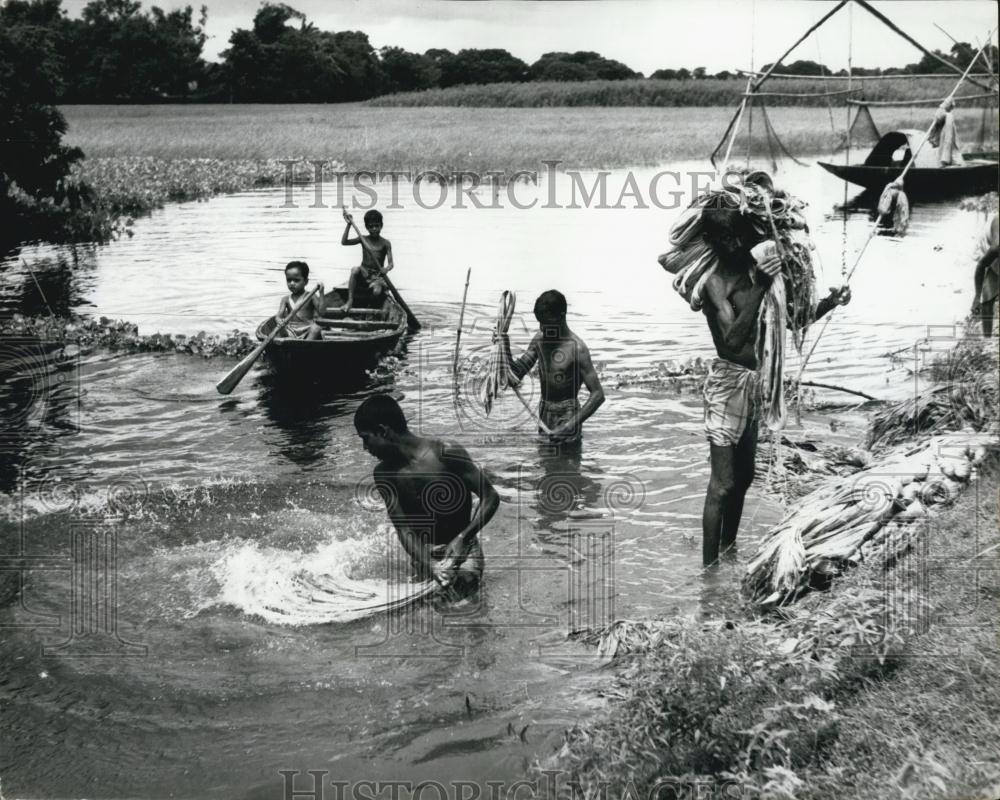 1964 Press Photo Jute Harvest, Calcutta, India - Historic Images