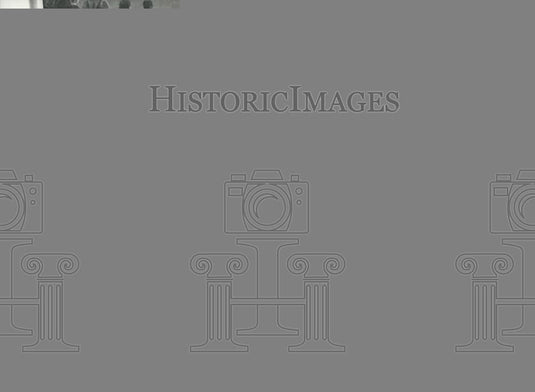 Press Photo hippo on the rug - Historic Images