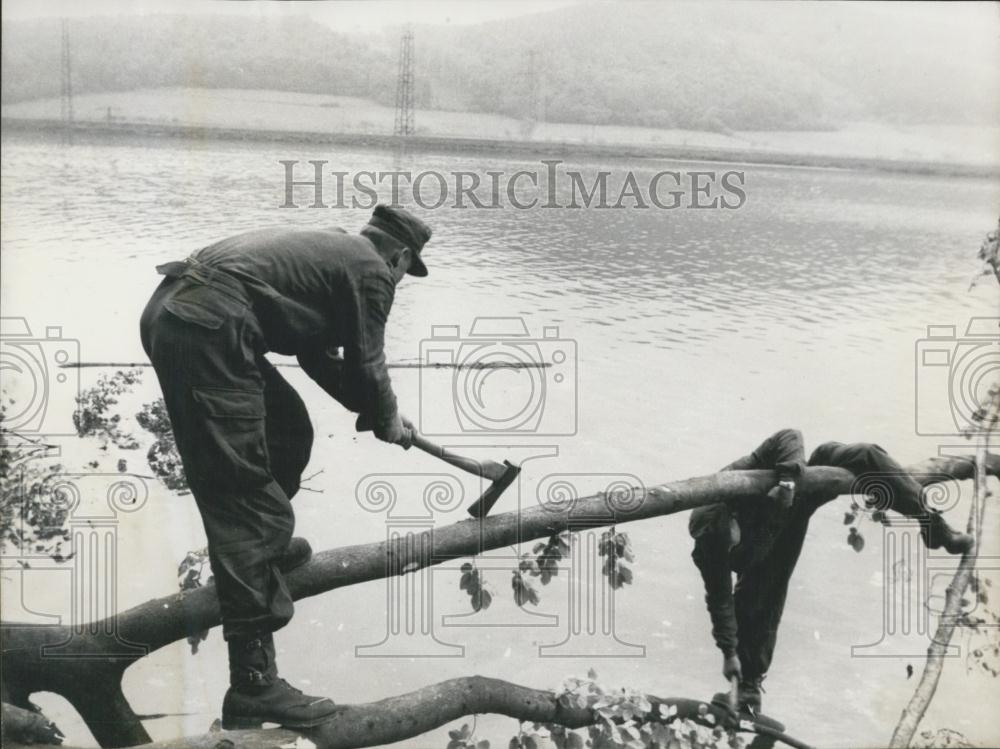 Press Photo Soldiers in Germany cutting trees - Historic Images