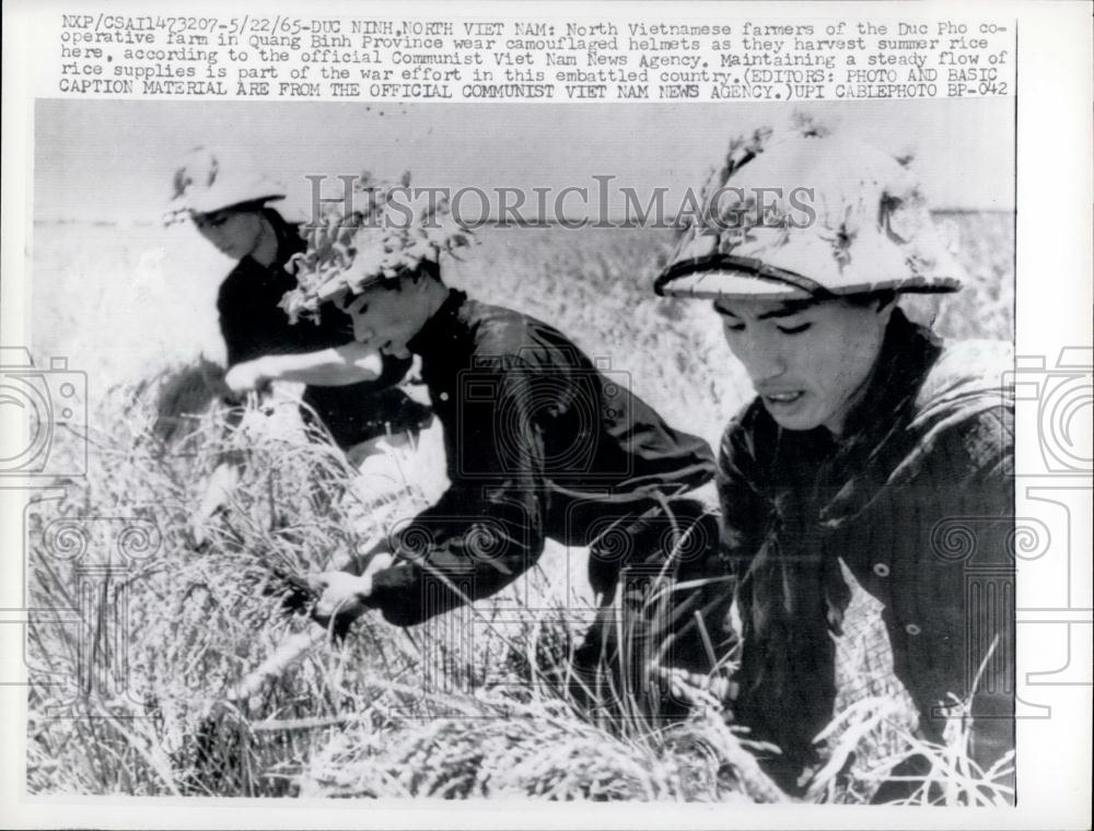 1965 Press Photo North Vietnamese Farmers, Duc Pho Co-Operative Farm, Quand Bih - Historic Images