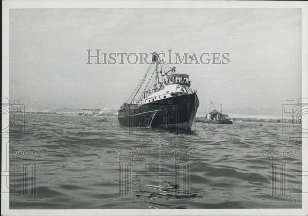 Press Photo Peru Fishmeal Industry - Historic Images