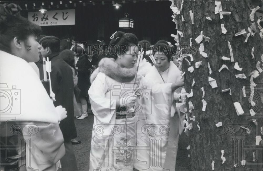 Press Photo Japanese New Year &quot;Fortune&quot; Trees - Historic Images