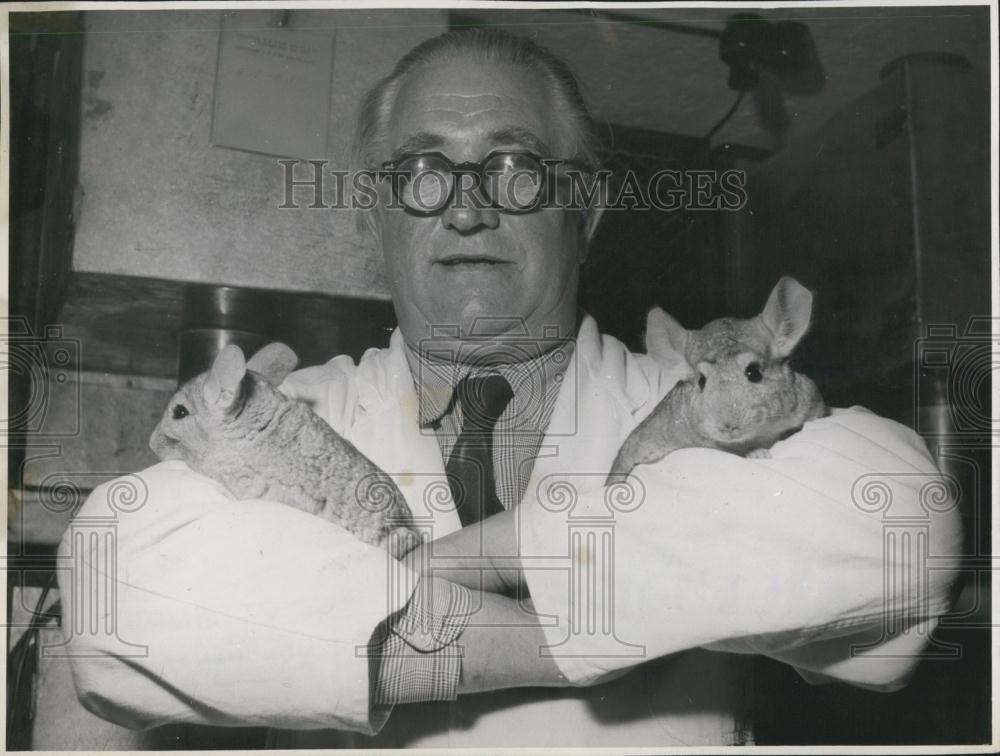 Press Photo Josef Zettl &amp;Chinchilla farm in Munich - Historic Images