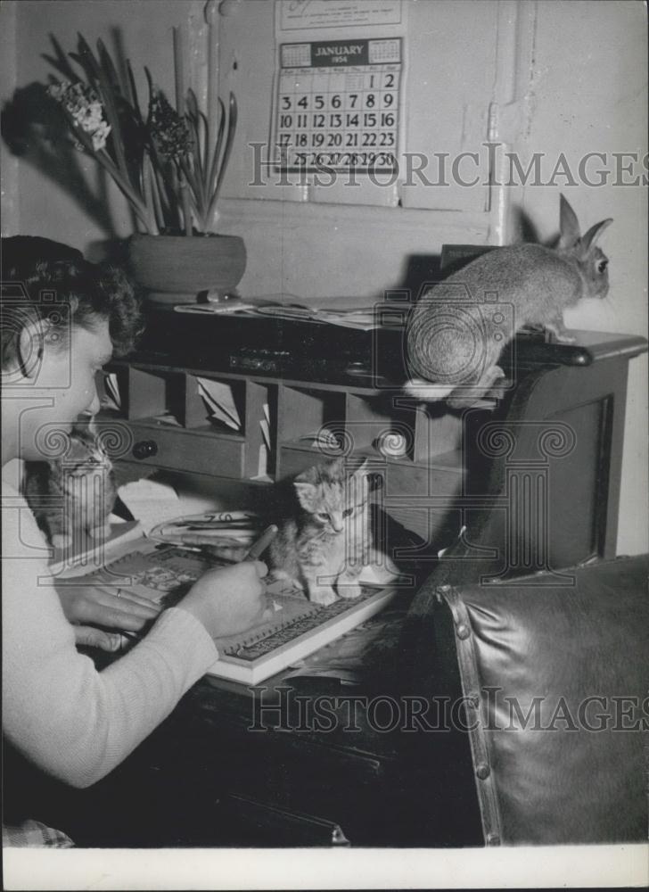 Press Photo A bunny and kittens - Historic Images