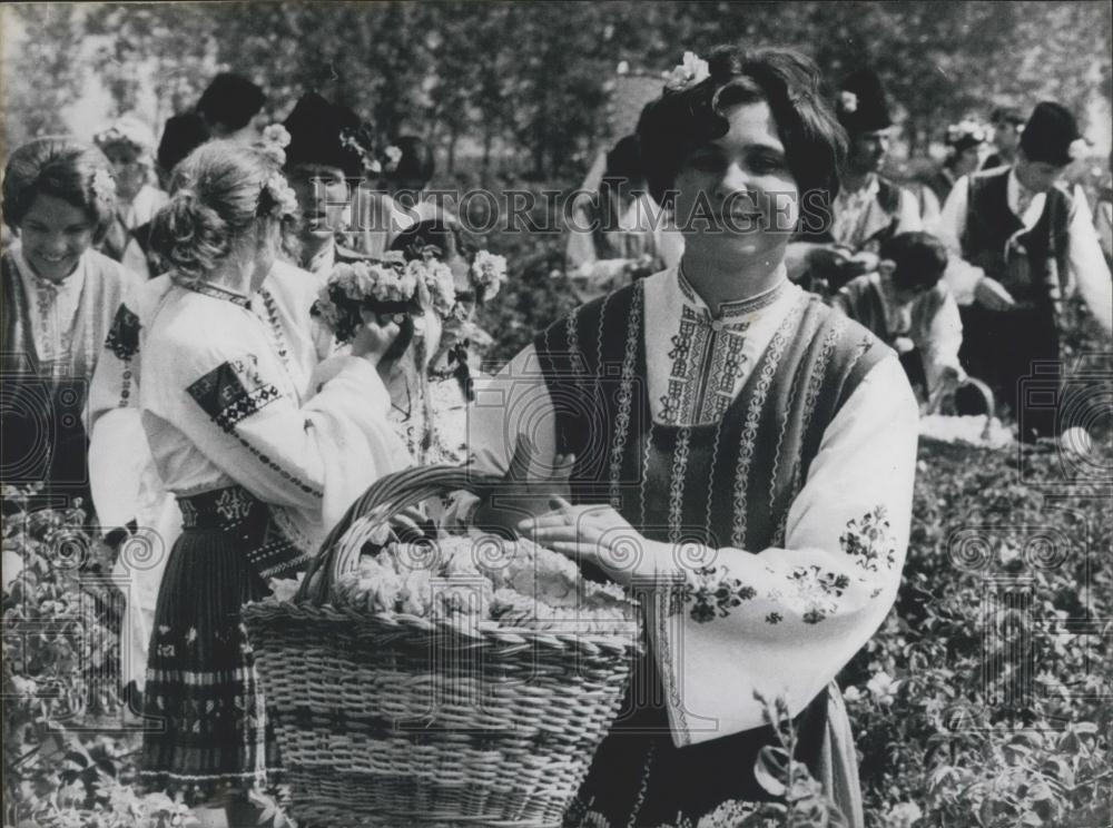 1971 Press Photo Rose Picking Festival in Kazanluk - Historic Images