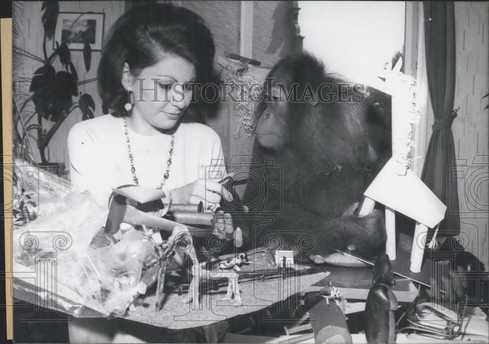 1967 Press Photo Woman and Orangutan - Historic Images