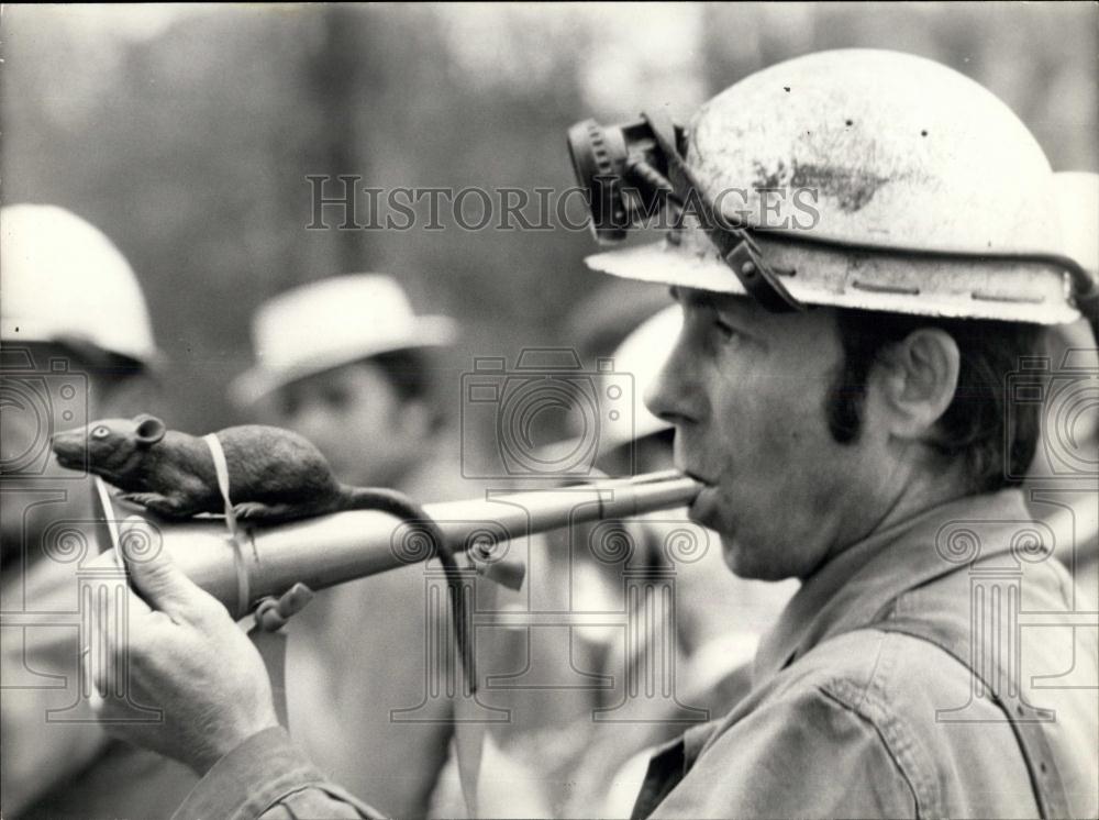 1977 Press Photo Sewage Worker Protests with Trumpet - Historic Images