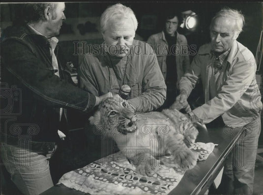 Press Photo Dr. Klein Performs an Ultrasound on Baby Tiger Named "Kerala" - Historic Images