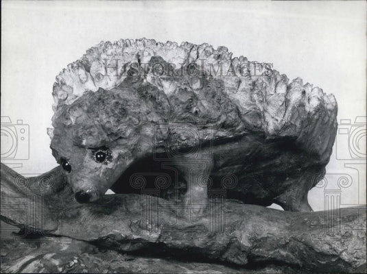 Press Photo "Art from Roots" - Wittenbecher - Hedgehog - Historic Images