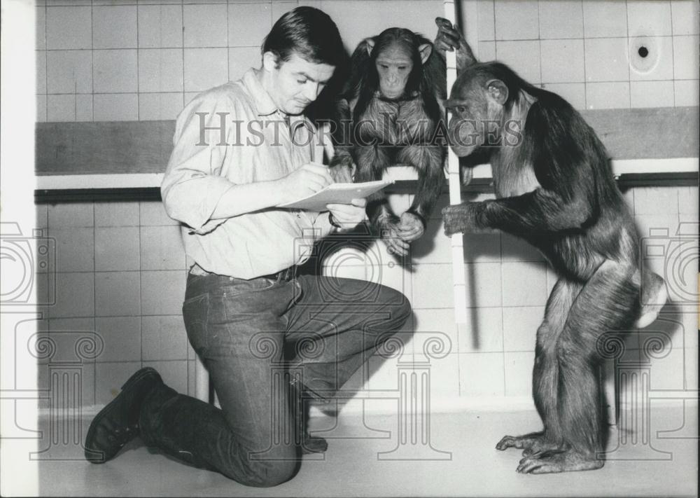 1966 Press Photo Frankfurt Zoo - Caretaker of Chimpanzees. - Historic Images