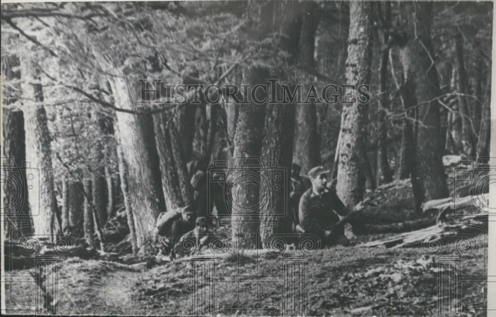 Press Photo Police Officers in Argentinian Woods - Historic Images