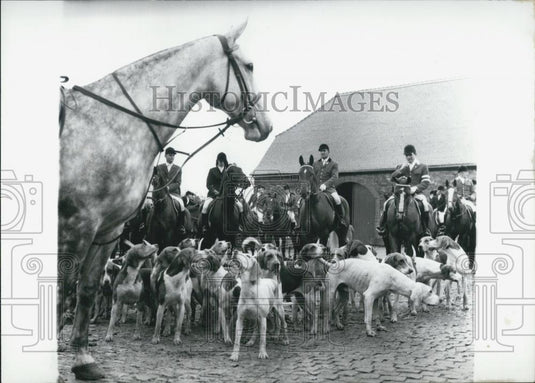 1967 Press Photo Hunting Season in Germany. Hounds in Gut Neuhof. - Historic Images